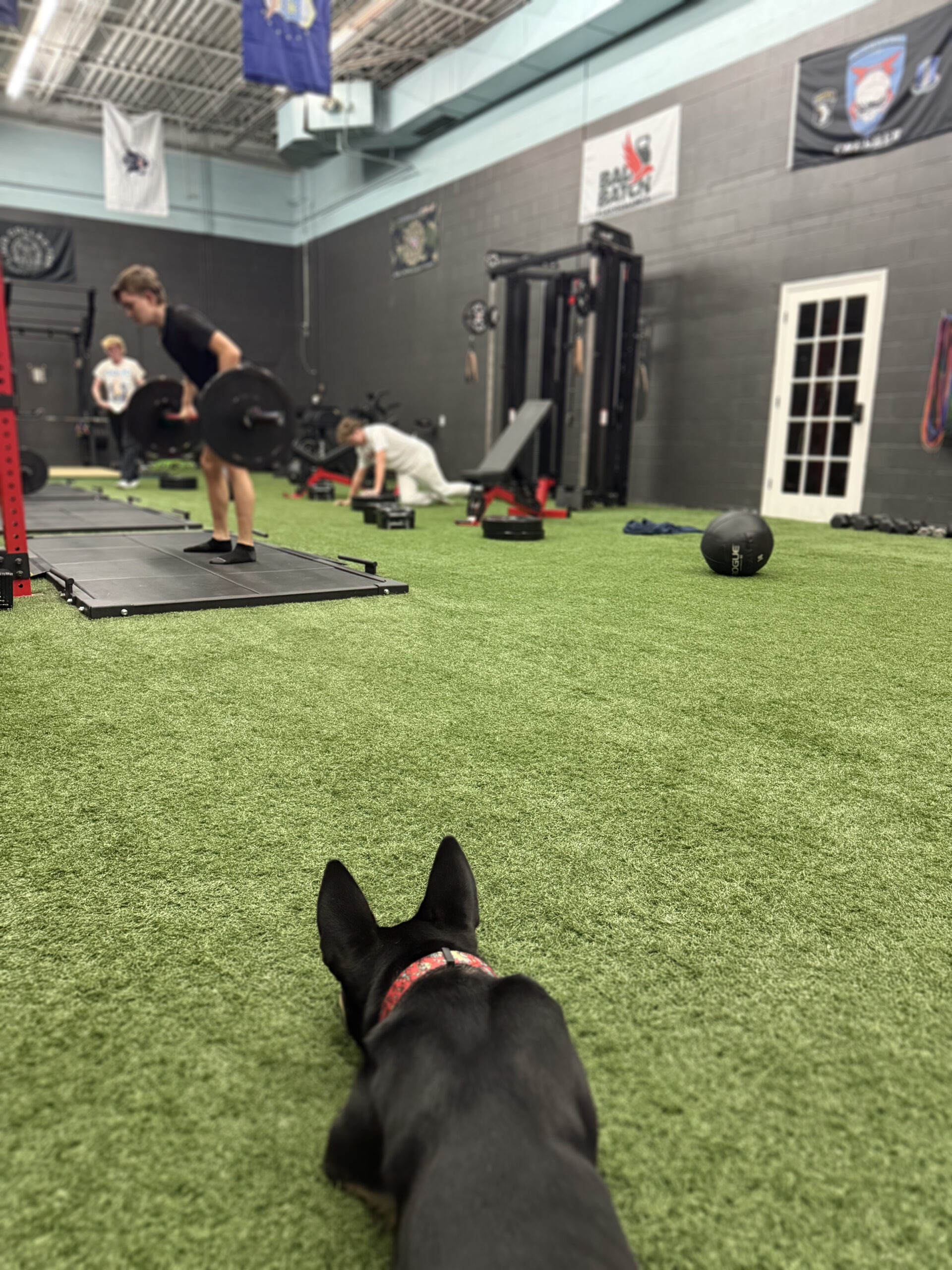 Training inside the Blackflag Biofitness facility